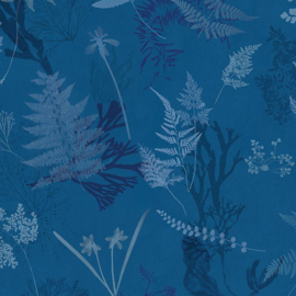 DWD Natural History/Anna Atkins Fotobehang NH250037 Bladeren|Maatwerk