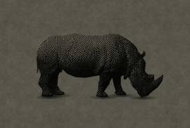 Walls by Patel Fotobehang DD110501 Rhino 1