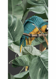 Kek Amsterdam Botanical Birds Black 2D Fotobehang WP-579 Bladeren