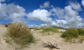 We Live by Light/Holland Noordwijk duinlandschap Fotobehang 1434