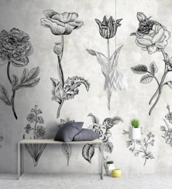 Walls by Patel Fotobehang DD110356 Sketchpad 2 Botanisch