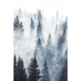Esta Home Scandi Cool Fotobehang Foggy Forest 158909 Mistig Bos