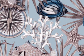 Emil & Hugo Moana Behang 300863 Reef Aqua/Koraal