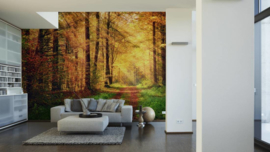 AS Creation Wallpaper XXL3  Fotobehang 470646XL Autumn Forest