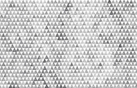 Fotobehang 2036 Triangle -Dutch Wallcoverings