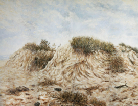 Dutch Wall Decor Panorama Fotobehang D1901010 Windkust/Duinen