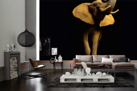 AS Creation Wallpaper XXL3 Fotobehang 470681XL Elephant Front/Olifant