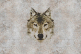 AS Creation Walls By Patel 2 Fotobehang DD113492 Big Three 1/Wolf/Dieren