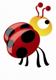 Noordwand  Little Ones Behang 414047 Ladybird/Dieren/Lieveheersbeestje/Kinderkamer Fotobehang