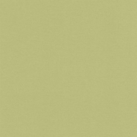 AS Creation Drawn Into Nature Behang 39097-4 / 390974 Uni/Plain