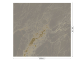 Dutch Wallcoverings Gold Collection Fotobehang MW-053 Marble/Marmer