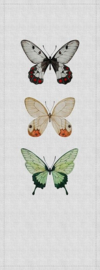 AS Creation Walls By Patel 2 Fotobehang DD114042 Buzz Panels 2/Vlinder/Dieren
