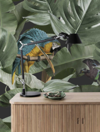 Kek Amsterdam Botanical Birds Black 2D Fotobehang WP-579 Bladeren