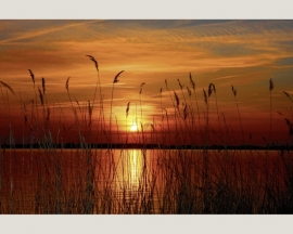 Fotobehang 036571 / Sunset at the lake ASCreation