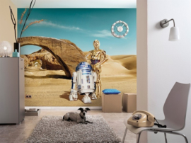 Komar Disney Edition4 Fotobehang 8-484 Star Wars Lost Droids