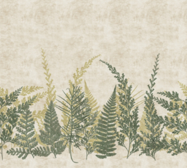 Noordwand Herbarium Fotobehang HED27293 Botanisch/Bladeren/Varens