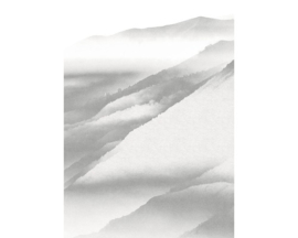 Noordwand Komar Raw Fotobehang R2-010 White Noise Mountain