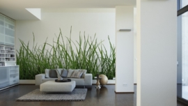 AS Creation APDigital2 Fotobehang 470411 Green Grass Detail/Natuur