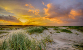 We Live by Light/Holland Schiermonnikoog duinen Fotobehang 0356