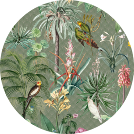 Behangexpresse Floral-Utopia Cirkel Tropical Winter INK317 Tropisch/Vogels