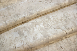 Dutch First Class Carrara Best Behang 82603 Marmer/Gratis Lijm