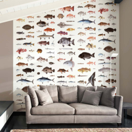 DWD Natural History Fotobehang NH250031 Vissen van Kawahara Keiga/Maatwerk