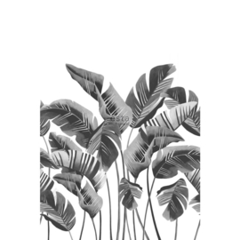 Esta Home Scandi Cool Fotobehang Large Banana Leaves Grey 158907 Bananenbladeren