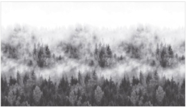 Noordwand Easy Smart Art Fotobehang 47268 Bos in de mist/Naaldbomen