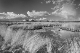 We Live by Light/Holland Veluwe Fotobehang 0693