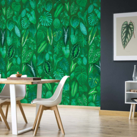 DWD Natural History Fotobehang NH250052 Tropische Bladeren op groene ondergrond/Maatwerk