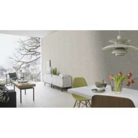 Rasch Color Your Life Behang 315721 Beton Structuur/Modern