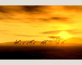 Fotobehang 036561 ASCreation Natuur