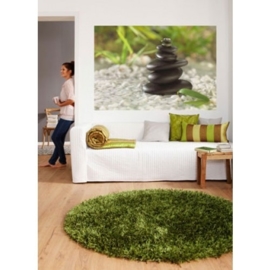 Fotobehang. 1-612 Feng Shui-Komar