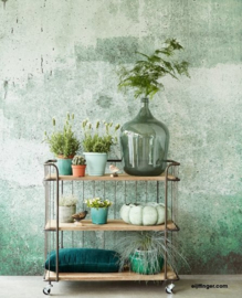 Eijffinger Resource  Fotobehang 369151 Green Weathered Wall/Modern/Industrieel