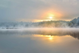 AS Creation Wallpaper XXL3 Fotobehang 470671XL Mist/Foggy Morning