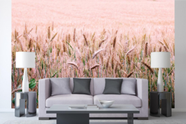 Dimex/Wall Murals 2023 Fotobehang MS-5-1715 Wheat Field/Korenveld