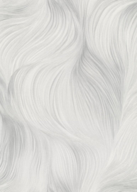 DWD Fashion for Walls 5 Behang 10522-31 Modern