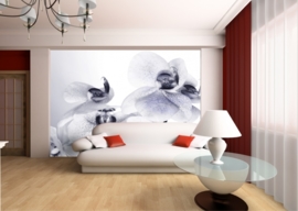 Dutch wallcoverings Fotobehang. FTS 1306 Bloemen