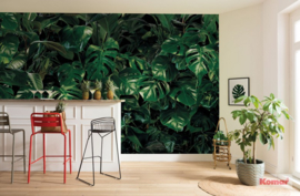 Komar Pure Fotobehang P333-VD4 Tropical Wall/Monstera/Bladeren