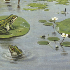 DWD Natural History/M.A Koekkoek Fotobehang NH250066 Naardermeer/Maatwerk