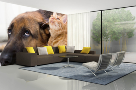 Dimex/Wall Murals 2023 Fotobehang MS-5-0549 Cat And Dog Together/Kat/Hond/Dieren