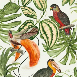 Opruiming/Sale Behangexpresse Paradisio Behang  6302-07 Botanisch/Vogels