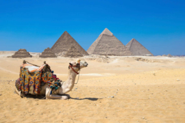 AS Creation Wallpaper XXL3 Fotobehang 470601XL Gizain Cairo/Piramide