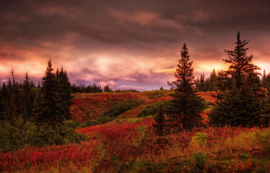 Dimex/Wall Murals 2023 Fotobehang MS-5-1736 Alaska Sunset/Zonsondergang