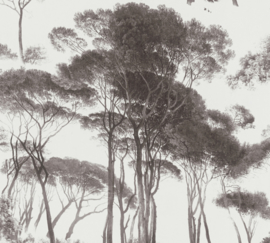 AS Creation History of Art Behang 37651-1 Bomen/Natuurlijk