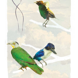 DWD Natural History Fotobehang NH250050 Paradijsvogels in Chinoiserie stijl/Maatwerk