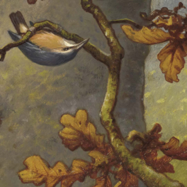 DWD Natural History/M.A Koekkoek Fotobehang NH250069 Boschvogels/Maatwerk