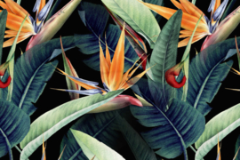 AS Creation Designwalls 2 Canvas Schilderij DD123840 Rainforest/Bloemen/Natuurlijk