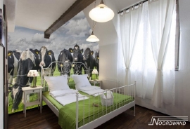 Noordwand Farm Live Fotobehang. 3750008  Dutch Cows/Koeien Behang