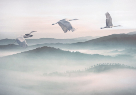 Noordwand Komar INK Fotobehang INX8-083 Mystic Cranes/Kraanvogel